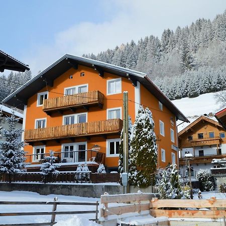Aparthotel Pinzgau Нойкірхен-ам-Гросфенедігер Екстер'єр фото